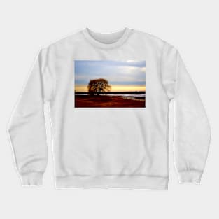 Willow at Sunset Crewneck Sweatshirt